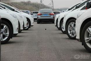 娱乐吃瓜社福克斯,揭秘娱乐圈幕后故事